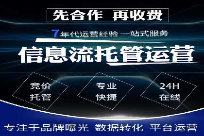 某电商平台的SEM广告投放策略及效果评估